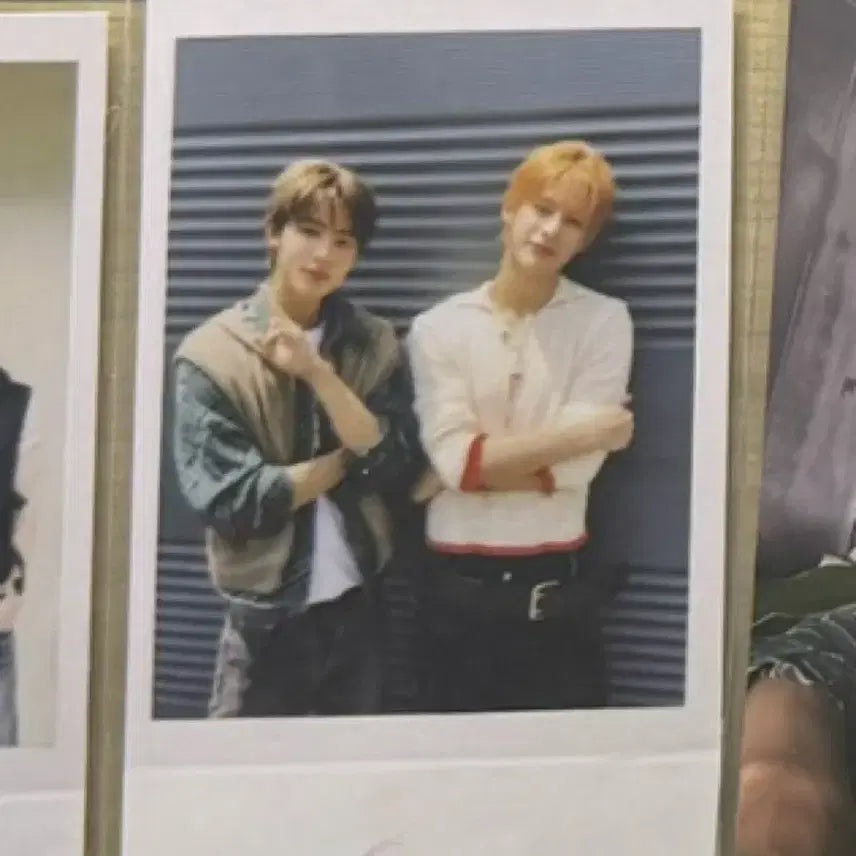 코르티스 시그 폴라로이드 양도 제임스마틴주훈건호성현포카럭드미공포비공굿분철