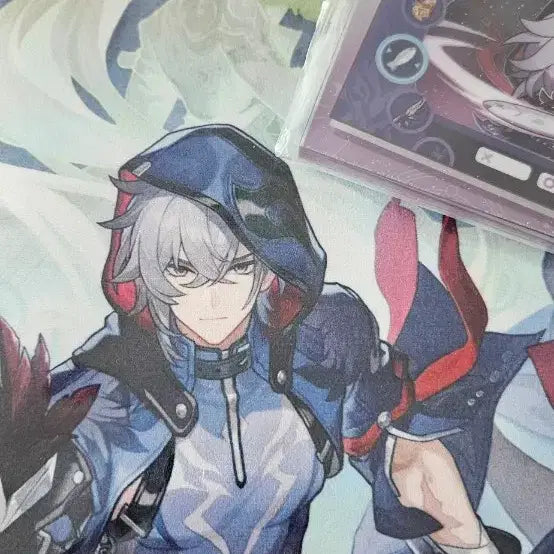 [BUNJANG] Honkai: Star Rail Acrylic Keyring / 스타레일 맥택 아크릴 키링 패브릭 일러