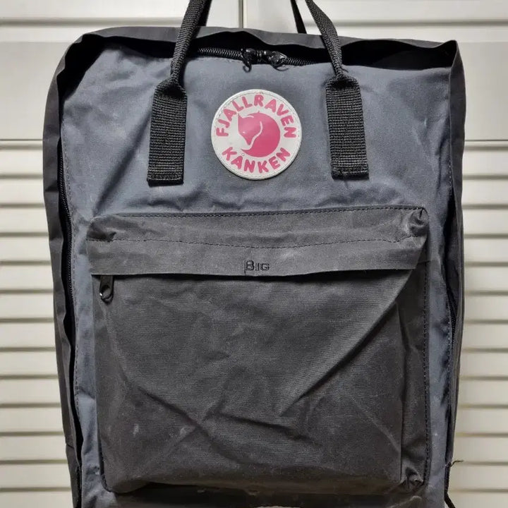 [BUNJANG] Fjallraven Kanken Backpack / 피엘라벤 칸켄 백팩 BIG칸켄 이너백 포함