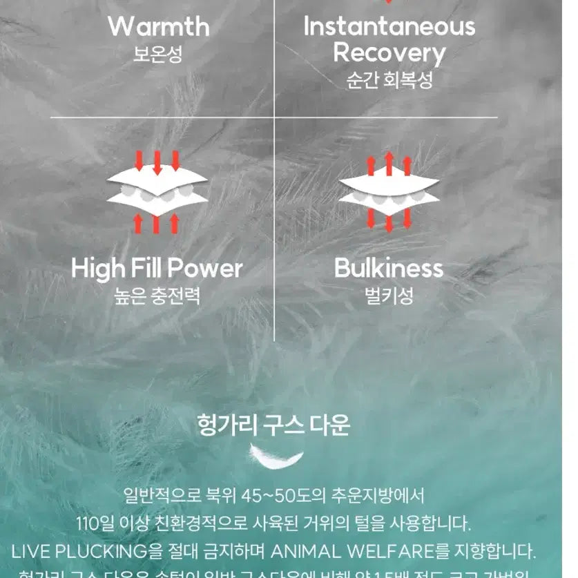 [BUNJANG] WEEZLE Oversized Hungarian Goose Down Vest / 새제품) 위뜨 오버핏 헝가리 구스다운 베스트