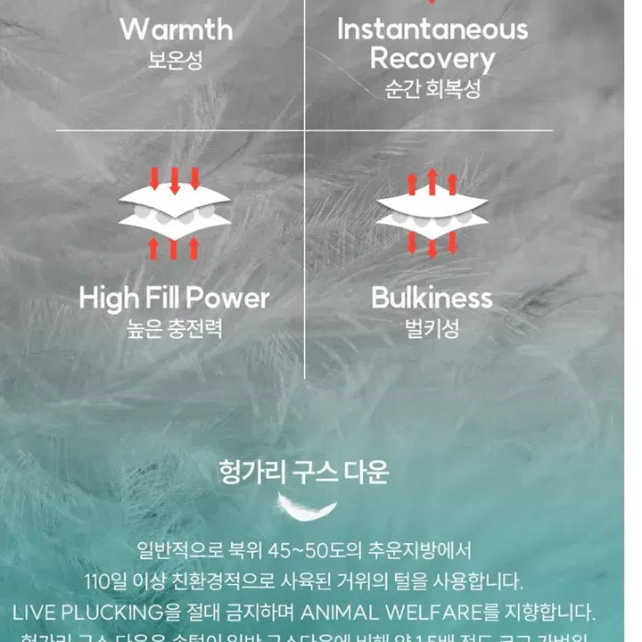 [BUNJANG] WEEZLE Oversized Hungarian Goose Down Vest / 새제품) 위뜨 오버핏 헝가리 구스다운 베스트