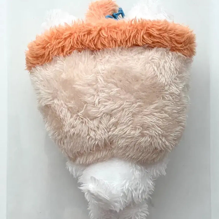 [BUNJANG] Bubble Cat Bag / 버블냥 (별 가방 없어요ㅜ)