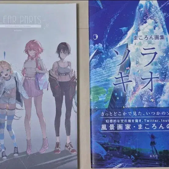 [BUNJANG] Illustration Book / 일러스트 책