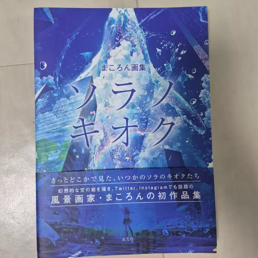 [BUNJANG] Illustration Book / 일러스트 책