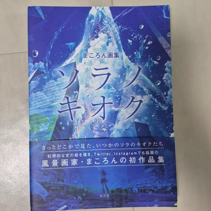 [BUNJANG] Illustration Book / 일러스트 책