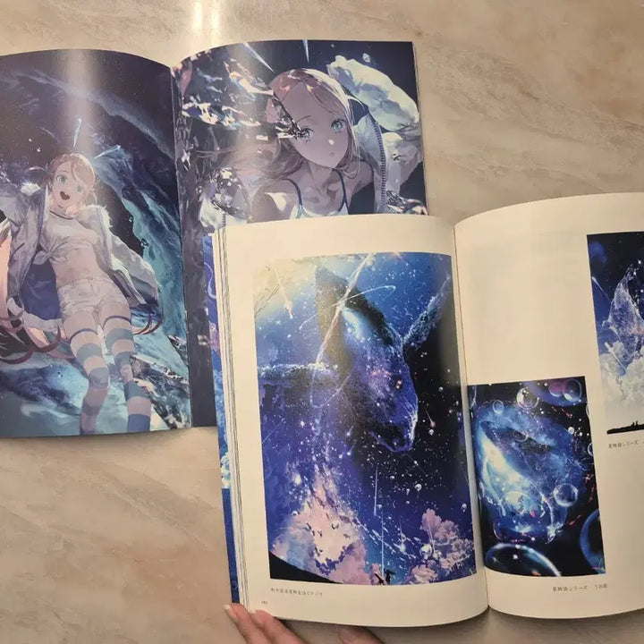 [BUNJANG] Illustration Book / 일러스트 책