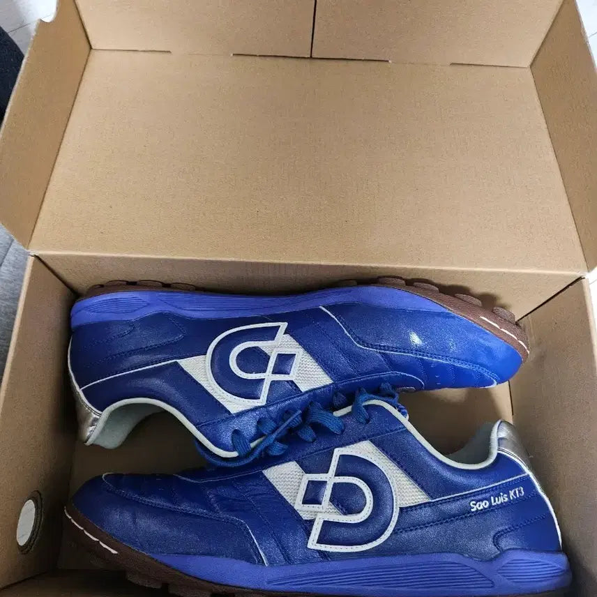 [BUNJANG] Desporte 상루이스 Futsal Shoes / 데스포르치 상루이스 풋살화