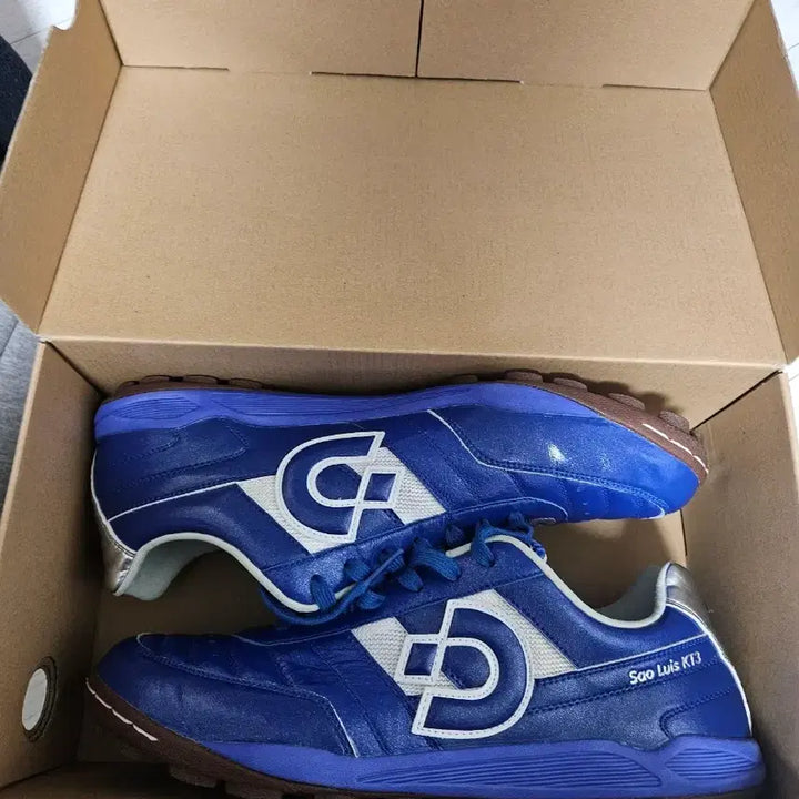 [BUNJANG] Desporte 상루이스 Futsal Shoes / 데스포르치 상루이스 풋살화