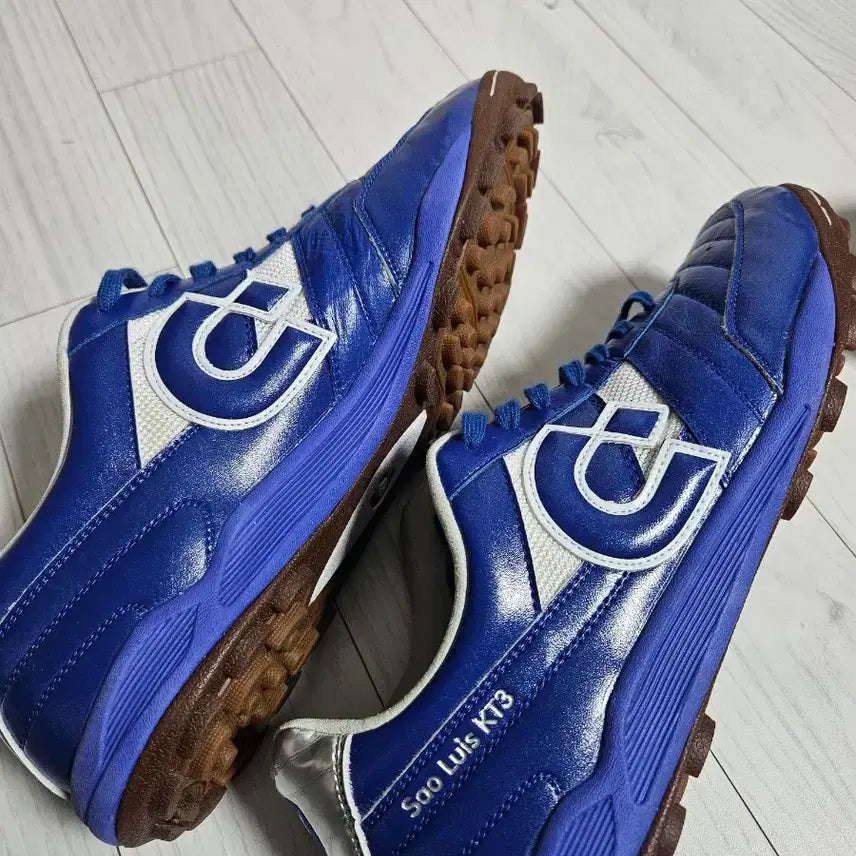 [BUNJANG] Desporte 상루이스 Futsal Shoes / 데스포르치 상루이스 풋살화