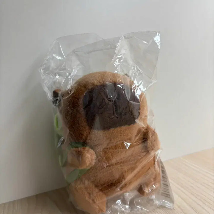 [BUNJANG] Capybara Turtle Bag Keychain Doll / 카피바라 거북이가방 키링 인형