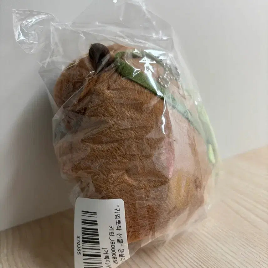 [BUNJANG] Capybara Turtle Bag Keychain Doll / 카피바라 거북이가방 키링 인형