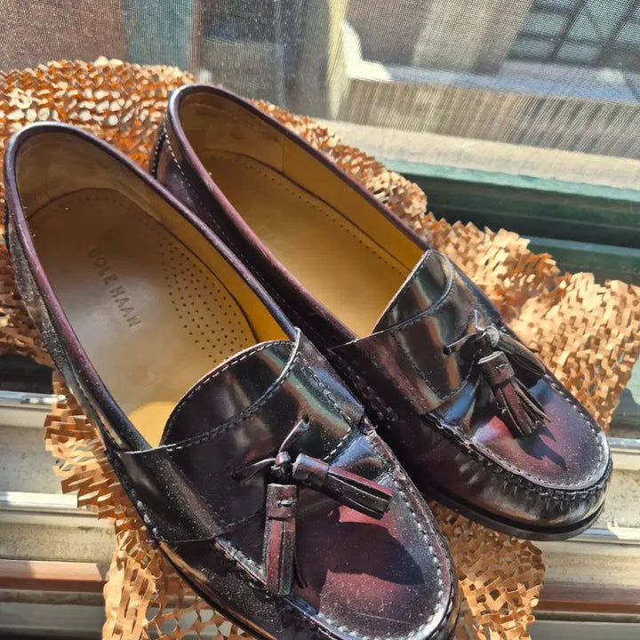 [BUNJANG] Cole Haan Loafer Dark Burgundy 8E / 콜한 테슬로퍼 다크 버건디 8e 260