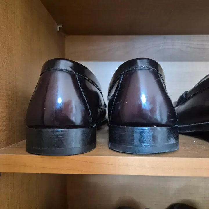 [BUNJANG] Cole Haan Loafer Dark Burgundy 8E / 콜한 테슬로퍼 다크 버건디 8e 260