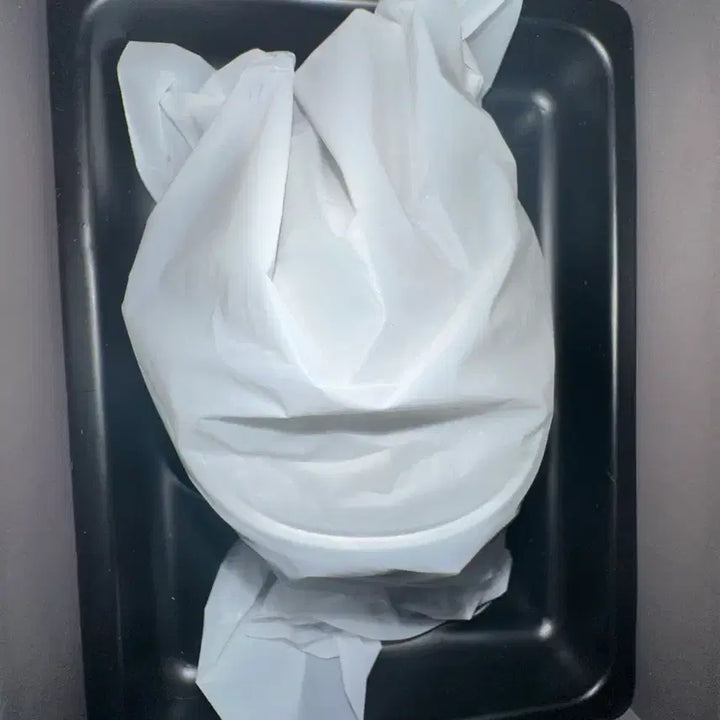 [BUNJANG] EMS Vcerra Facial Massager / EMS 브이쎄라 마사지기