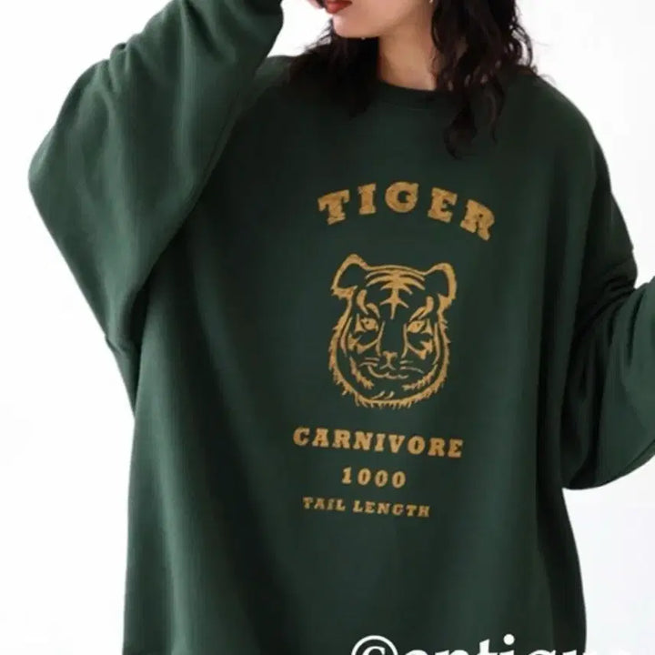 [BUNJANG] Antiqua Tiger Sweatshirt / Antiqua 타이거 맨투맨