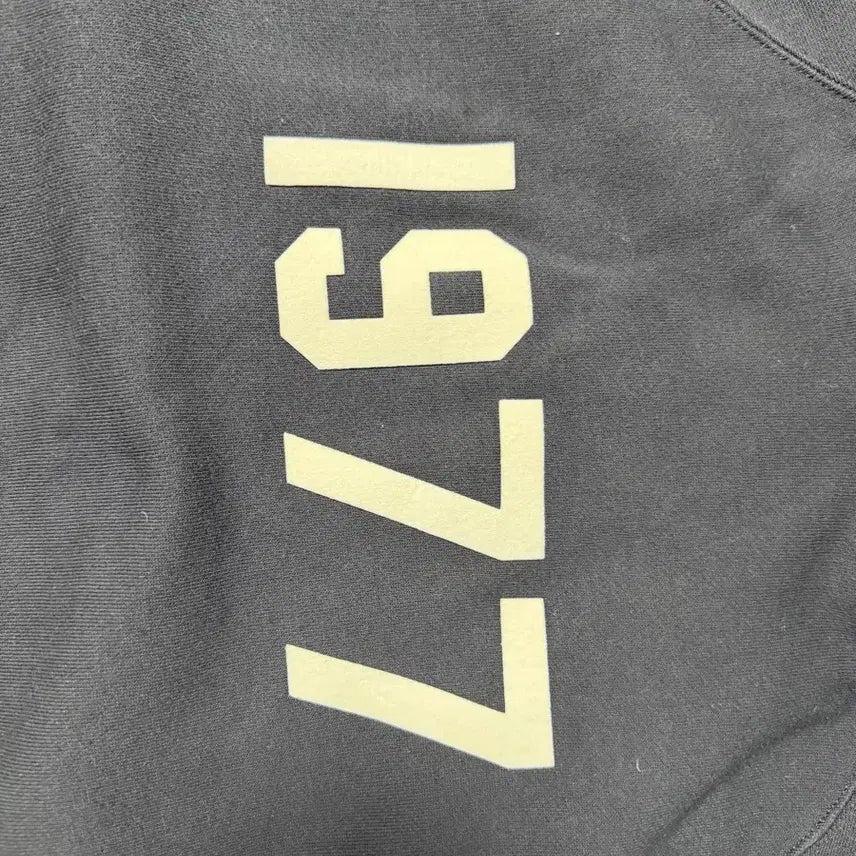 [SOLD OUT] [M] 피오갓 에센셜 1977 후드 아이언 - 22SS