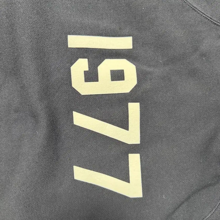 [SOLD OUT] [M] 피오갓 에센셜 1977 후드 아이언 - 22SS