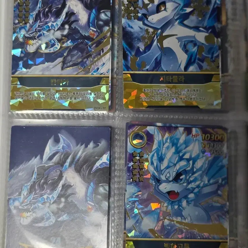 [BUNJANG] Dragon Village Card 24th Edition Full Set / 드래곤빌리지 카드 24탄 거의 풀셋 판매 (3번 카드 제외 전부 있음)