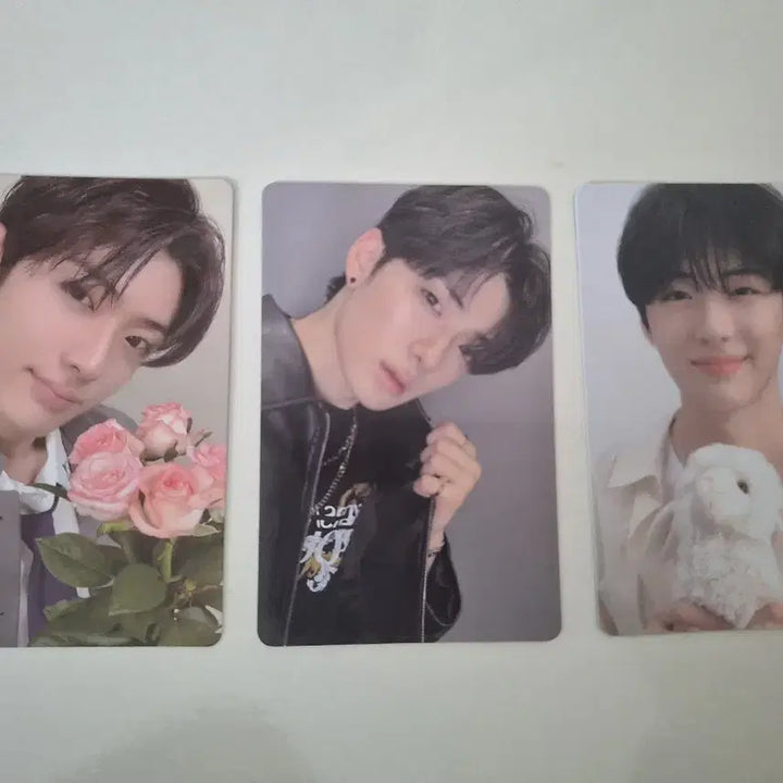 [BUNJANG] RIIZE Sohee Bundle Set Photocard / 알디원 정상현 보플 포카 일괄