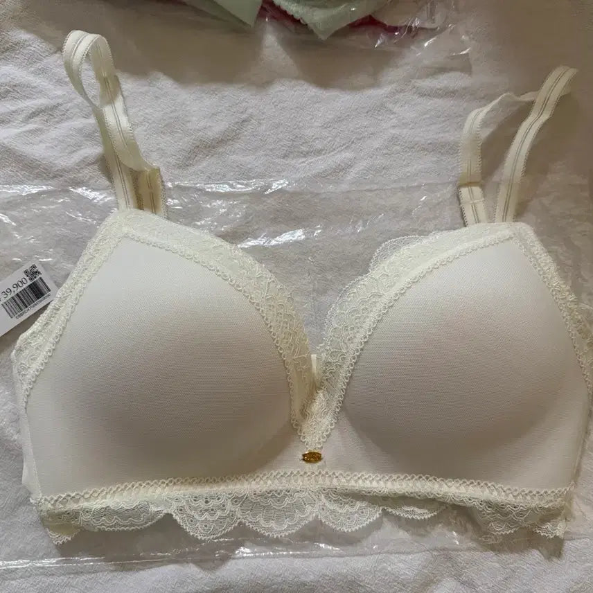 [BUNJANG] [Unspecified Brand] Underwear Set / [에블린 정품] 새상품 _속옷세트 판매