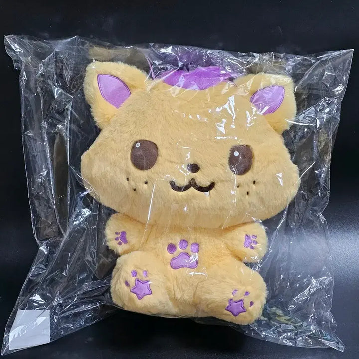 [BUNJANG] NCT WISH Sion Wish Bakery Doll / 미개봉)엔시티위시 시온 대왕 시오닝 30cm NCT WISH 위시베이커리