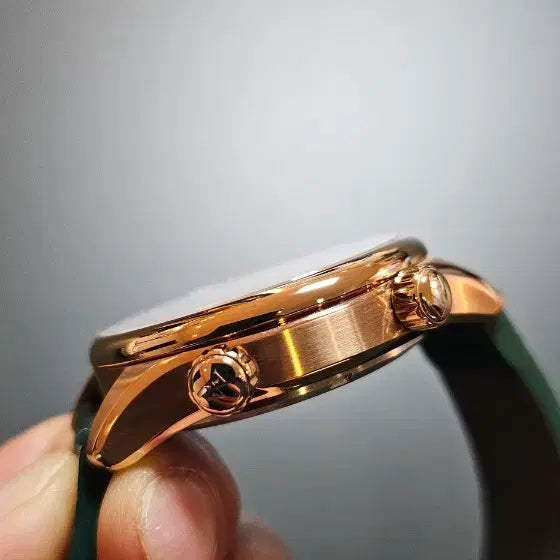 [BUNJANG] Welly Merck Worldtimer Automatic Watch / Welly Merck 월드타이머 오토매틱