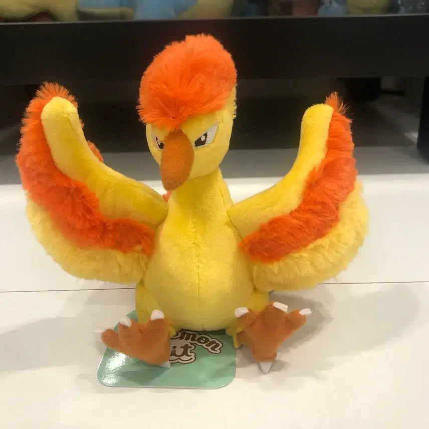 [BUNJANG] Fire Official Doll / 파이어 pokemon fit 봉제인형