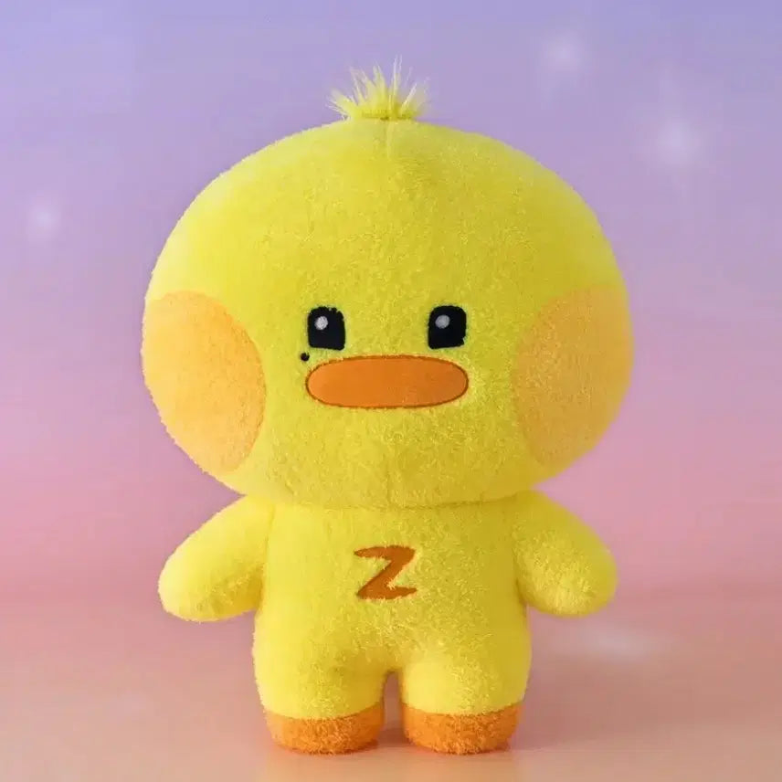 [BUNJANG] ZB1 Taerae Zerobaseone Flat Cushion / 제베원 김태래 제로니 대왕 태니니 플쿠 플랫쿠션
