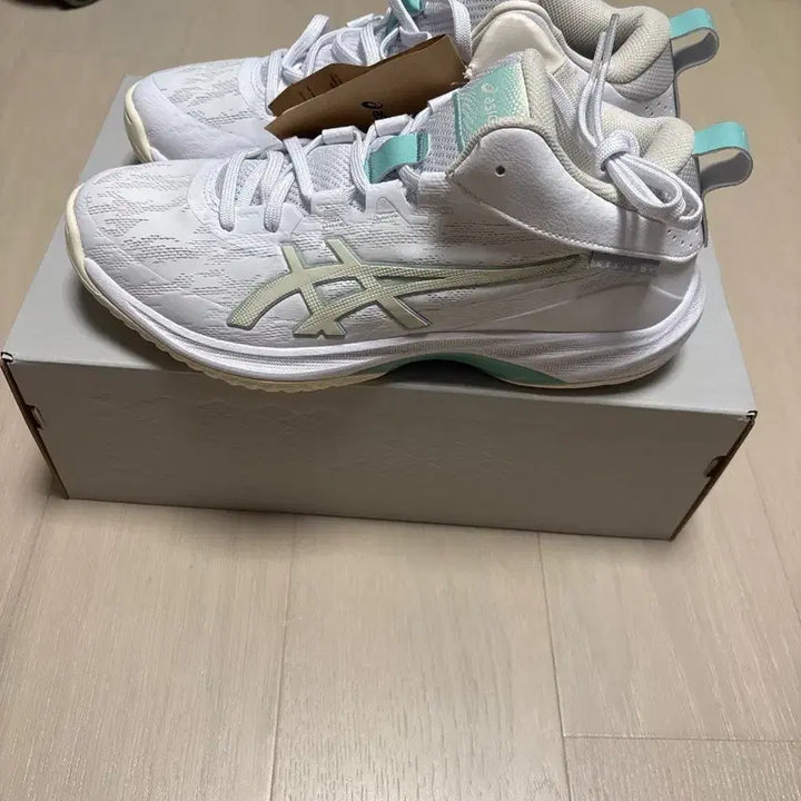 [BUNJANG] Asics Gel Hoops V17 Basketball Shoes / 아식스 젤 훕 농구화