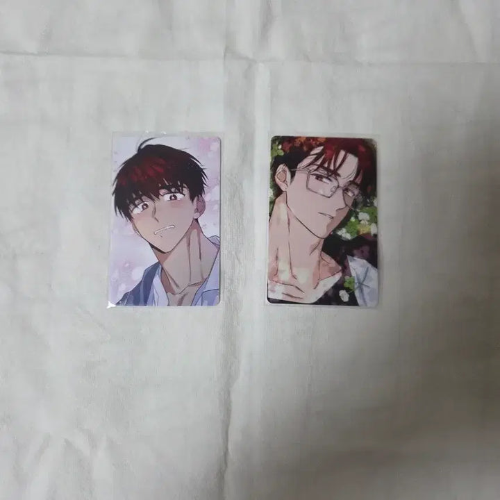 [BUNJANG] Bundled Set 2 Photocards &