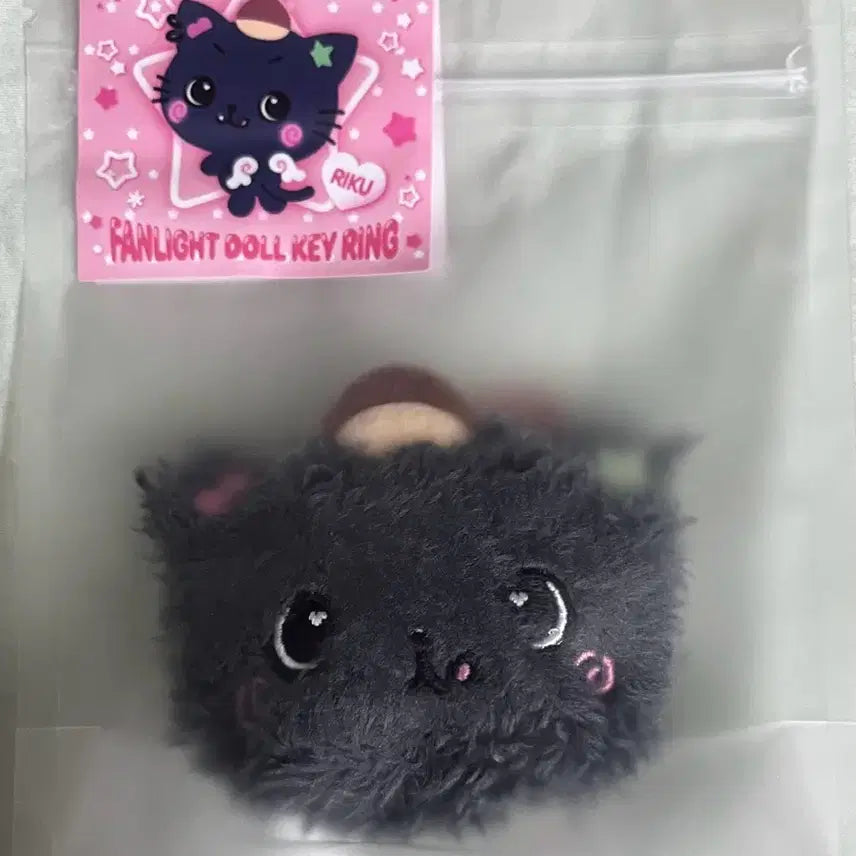 [BUNJANG] NCT WISH Riku Face Keyring / 미개봉)엔시티위시 팬라이트 페이스 얼굴 키링 리쿠 쿠리 위시돌 인형