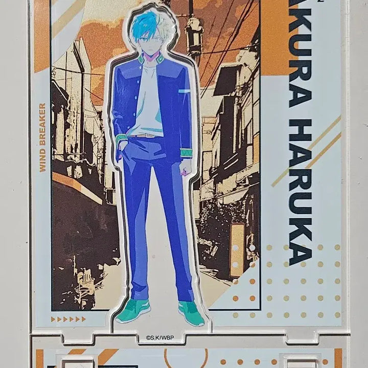 [BUNJANG] Wind Breaker Sakura Haruka Acrylic Stand / 윈브레 사쿠라 하루카 아크릴 스탠드 윈드브레이커