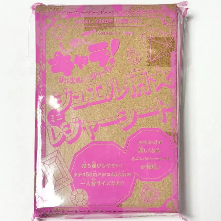 [BUNJANG] Nakayoshi May 2025 Edition Picnic Mat / 캐캐체 나카요시 2025년 5월호 부록 돗자리 캐릭캐릭체인지