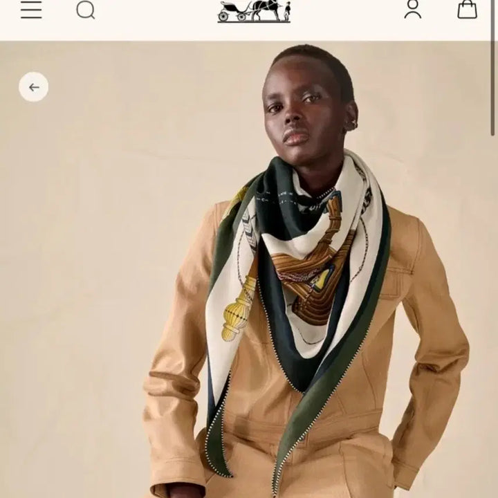 [BUNJANG] Hermès Giant Triangle Silk Scarf / 에르메스 자이언트 트라이앵글 실크스카프