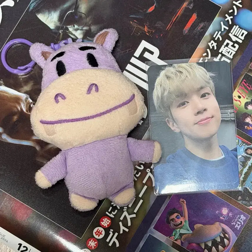 엔플라잉 유회승 하망이 인형 양도