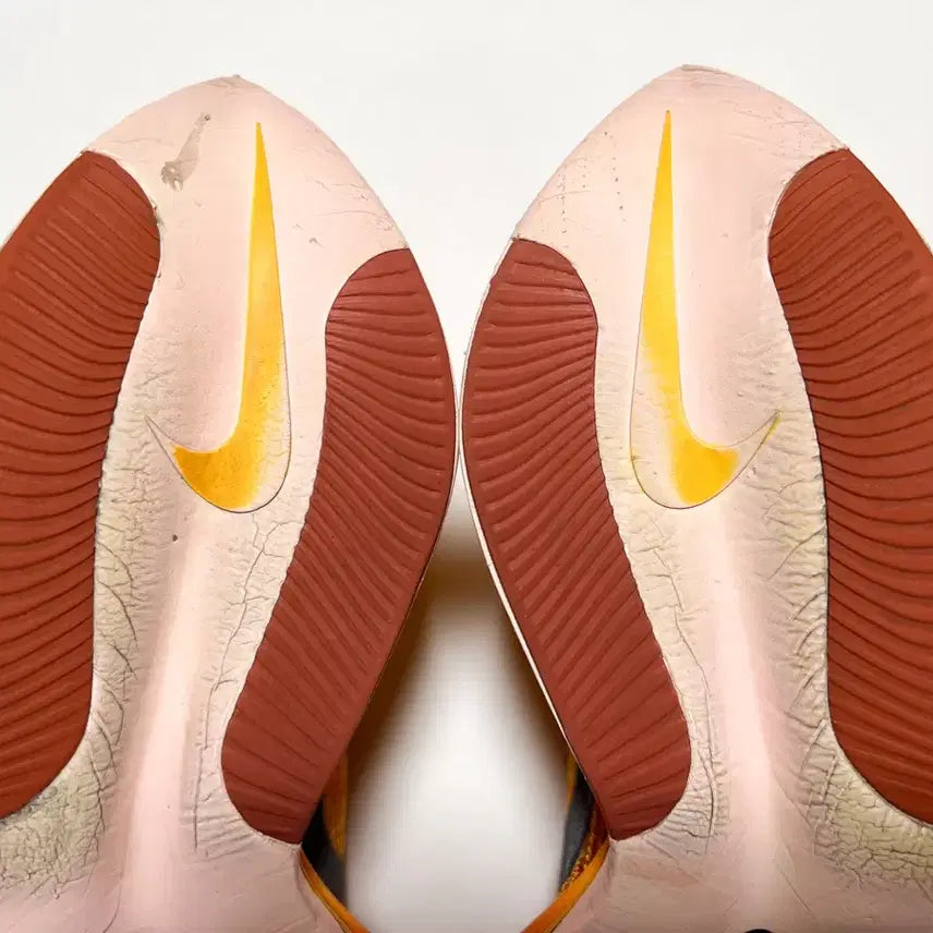 [BUNJANG] Nike Alphafly Ekiden / [290] 나이키 알파플라이 에키덴