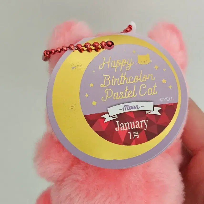 [BUNJANG] Pastel Cat Keyring / 파스텔 탄생석 고양이 키링 1월