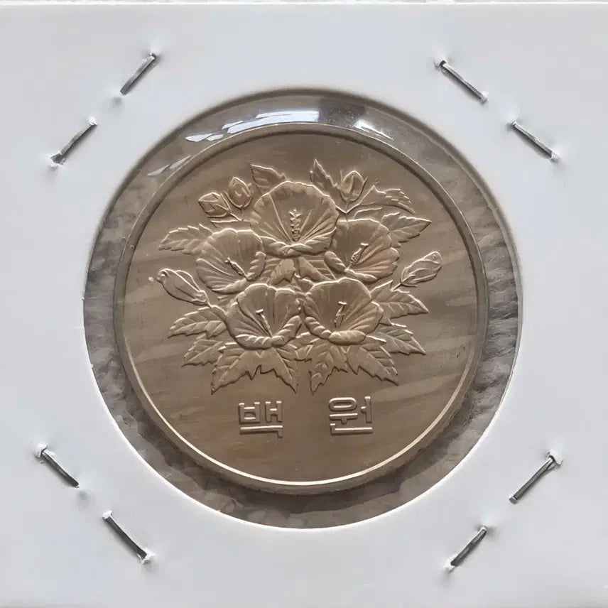 [BUNJANG] Coin 1981 One Hundred Won Coin / 1981년  백원주화를 판매합니다