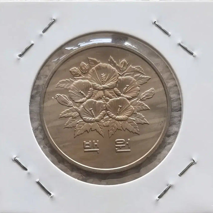 [BUNJANG] Coin 1981 One Hundred Won Coin / 1981년  백원주화를 판매합니다