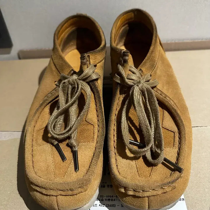 [BUNJANG] Politeuro Wallaby Shoes Star Camel 2 / 폴리테루 왈라비 슈즈 스타 카멜 2