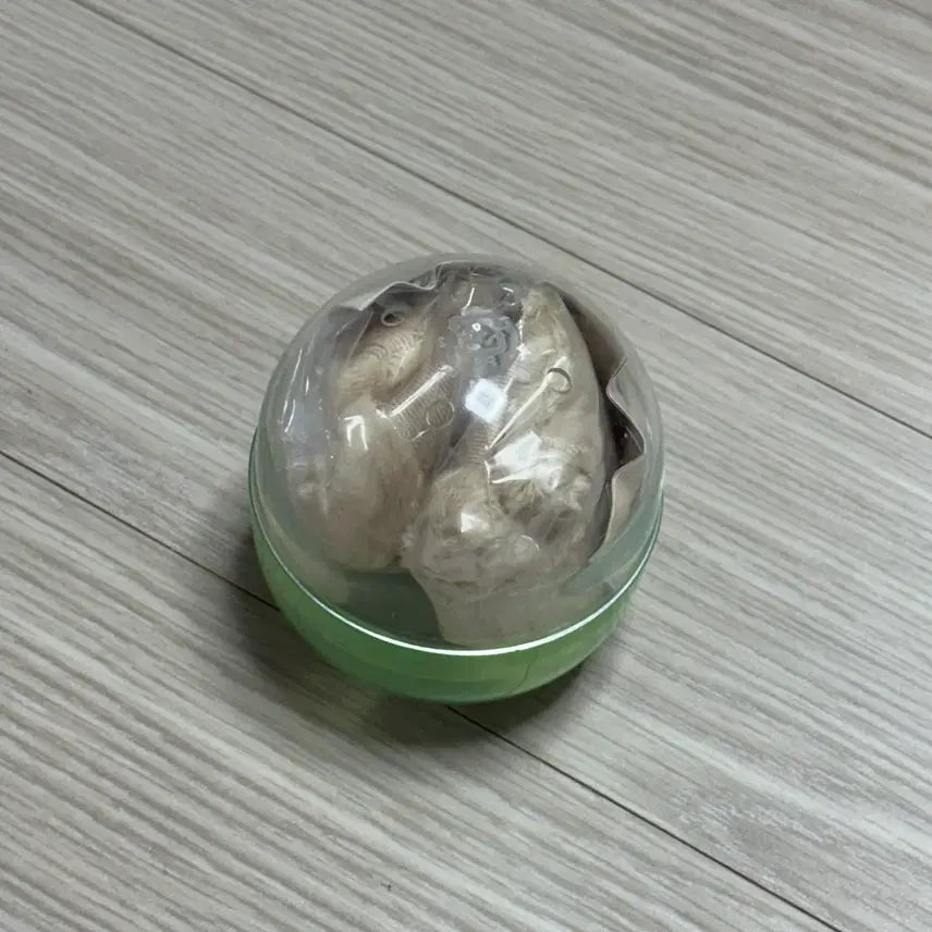[BUNJANG] Monchhichi Photocard Holder Keychain Gacha / 몬치치 포카홀더 키링 가챠