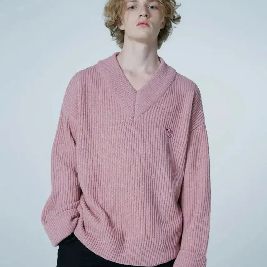 [BUNJANG] YK Dolphin Embroidered V-Neck Wool Knit Sweater / 와이케이 돌핀 자수 V넥 울니트 스웨터 남녀공용 맨투맨