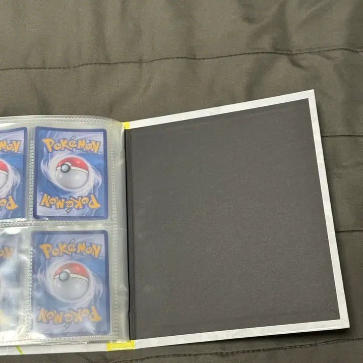 [BUNJANG] Pokemon Card Terastal Eevee Album / 테라스탈 이브이 카드 앨범