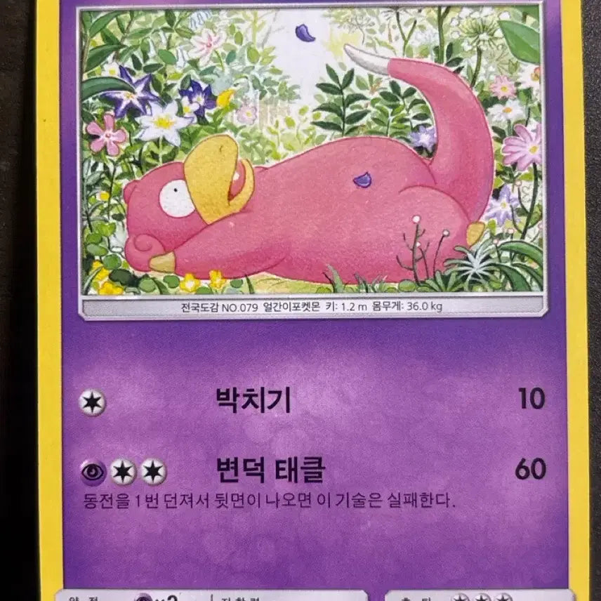 [SOLD OUT] 포켓몬 카드 야돈