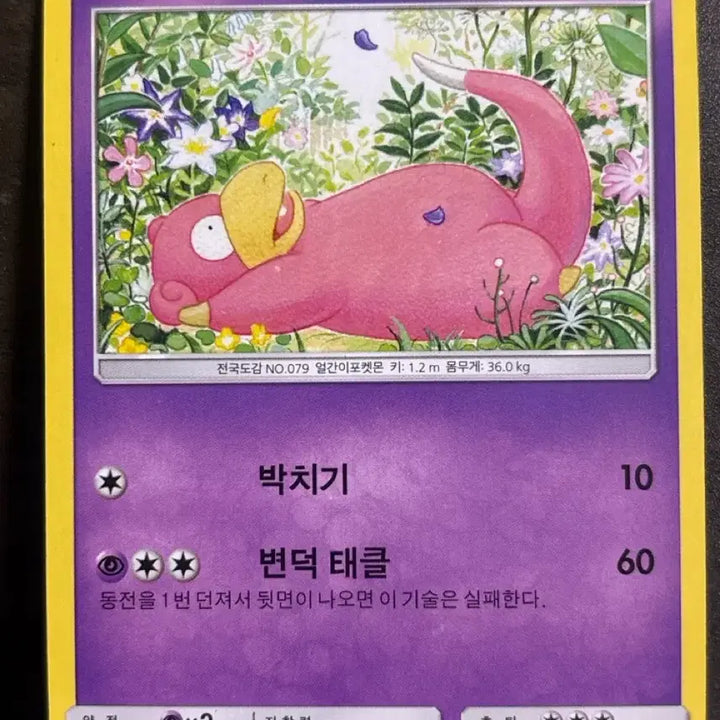 [SOLD OUT] 포켓몬 카드 야돈