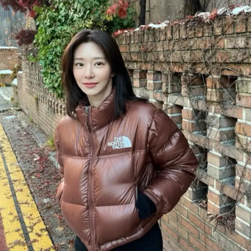 [BUNJANG] The North Face Nuptse Crop Down Jacket Brown XL / 노스페이스 눕시 크롭 다운 브라운 100(XL)
