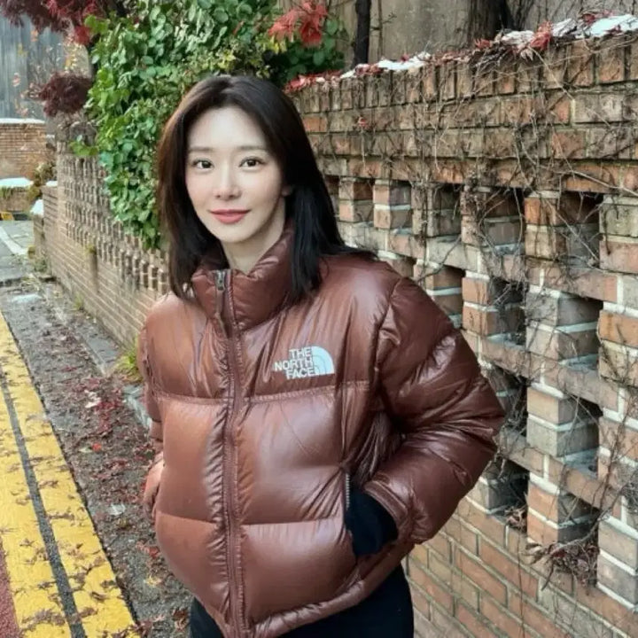 [BUNJANG] The North Face Nuptse Crop Down Jacket Brown XL / 노스페이스 눕시 크롭 다운 브라운 100(XL)
