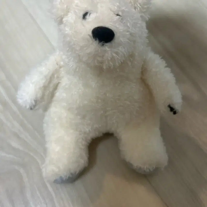 [BUNJANG] Tasted Bear Keyring / 테이스티드 곰 키링