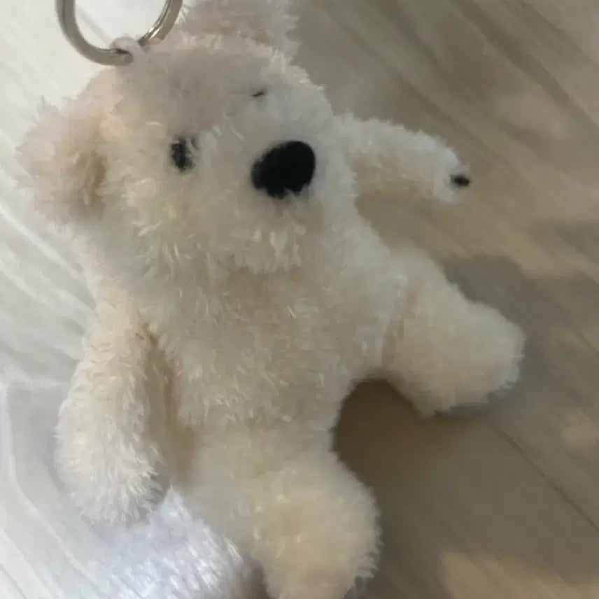 [BUNJANG] Tasted Bear Keyring / 테이스티드 곰 키링