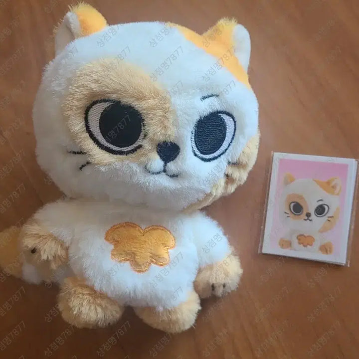 [BUNJANG] Boynextdoor Seongho Catbbi Plush Keyring / 쁘넥도 캣삐 플러쉬 키링판매합니다.